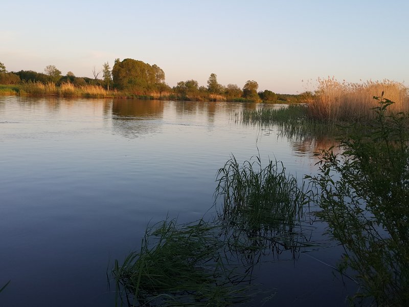 20150529_212745.jpg