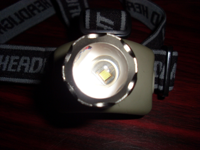 SL382258.JPG