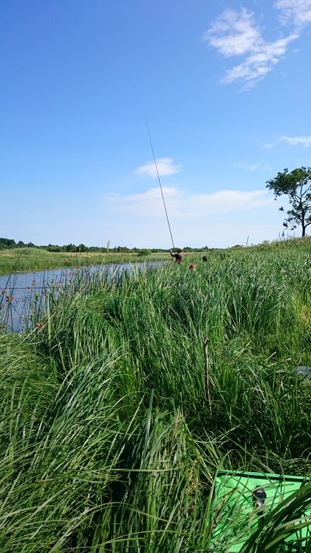 DSC_0009.JPG