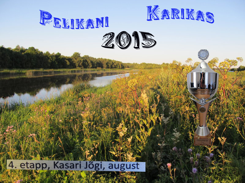 kasari4.jpg