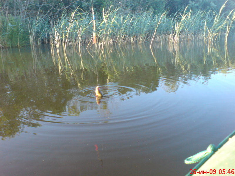 DSC01082.JPG