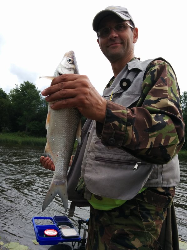 IMG_20150802_140758.jpg