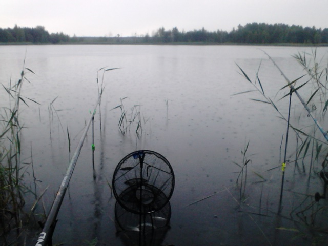 rain