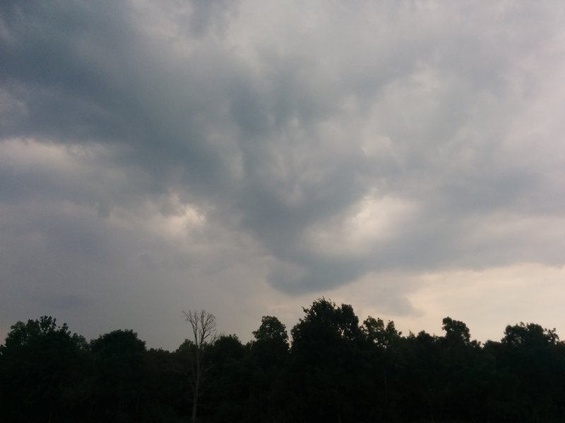 IMG_20150808_141052.jpg