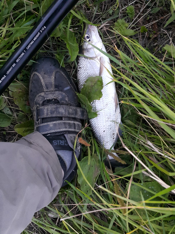 20150807_213308.jpg