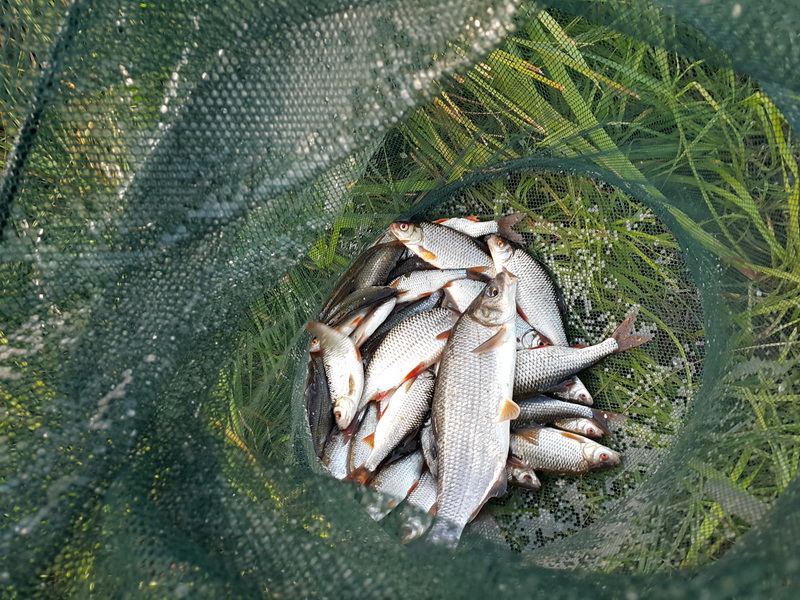 20150906_175531.jpg