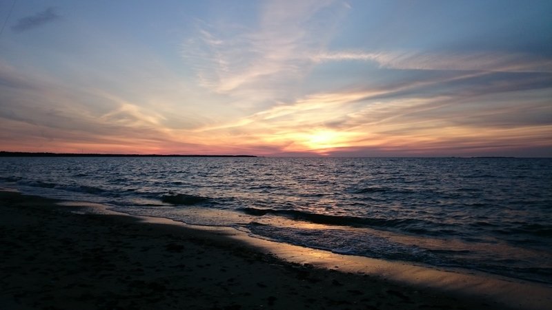 DSC_3175.JPG