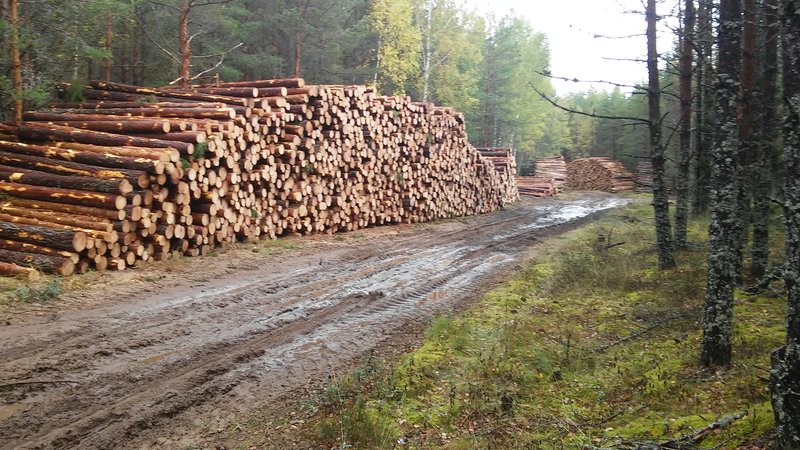 20150922_120030.jpg