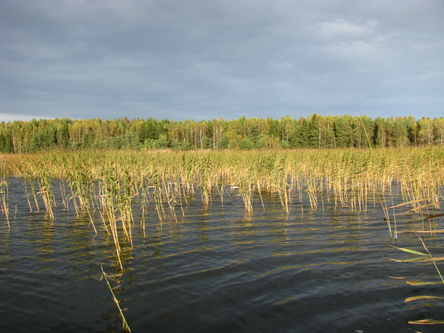 SUOMI -ОСЕНь 2015