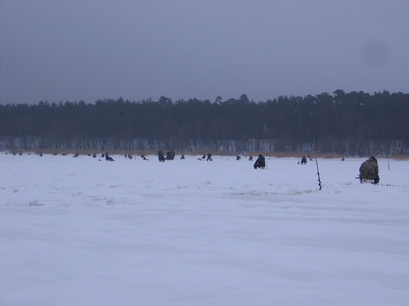 27.02 003.jpg