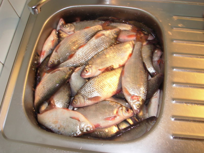 DSCN4116.JPG