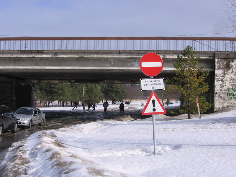 20 006.jpg