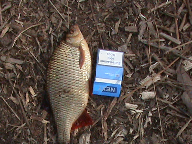 DSC00012.JPG