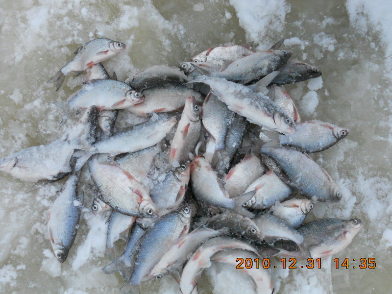 DSCN0824.JPG