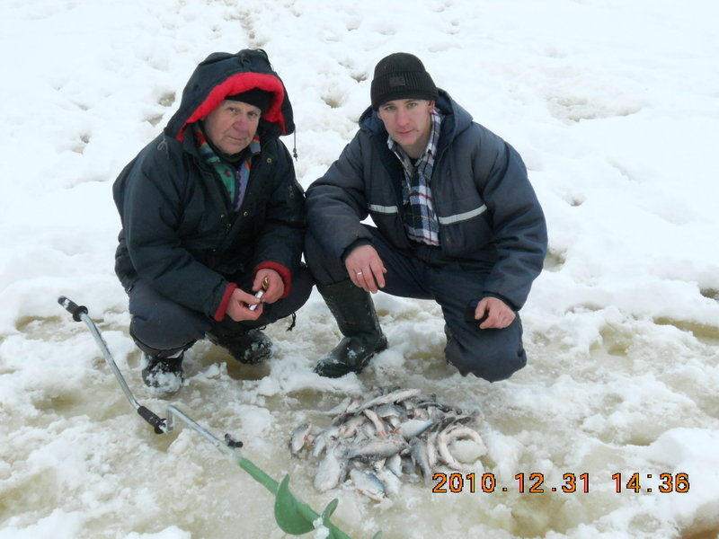 DSCN0826.JPG
