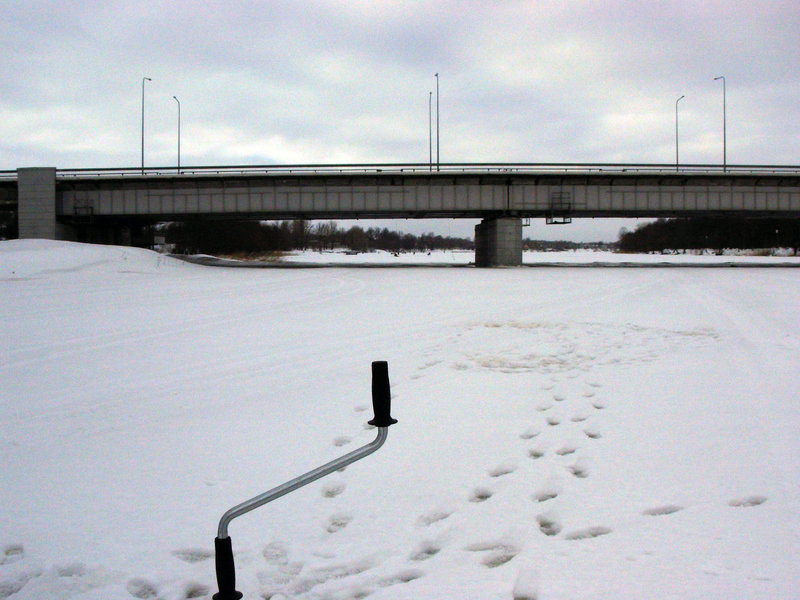 DSCN4433.JPG
