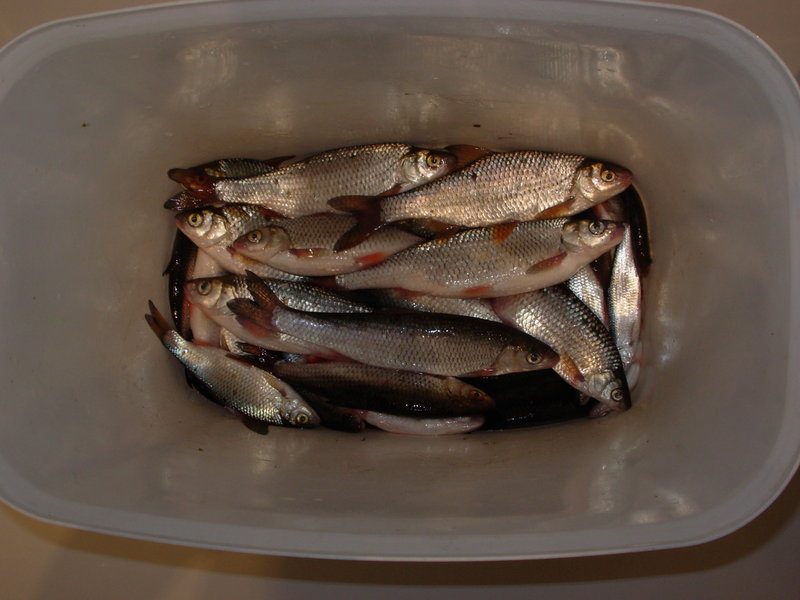 DSCN4439.JPG