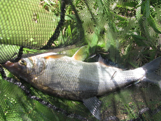 IMG_0015.jpg