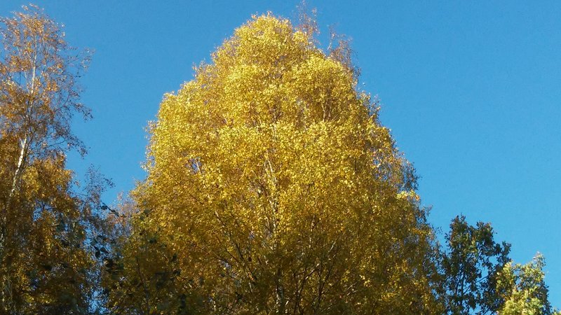 20151021_140815.jpg
