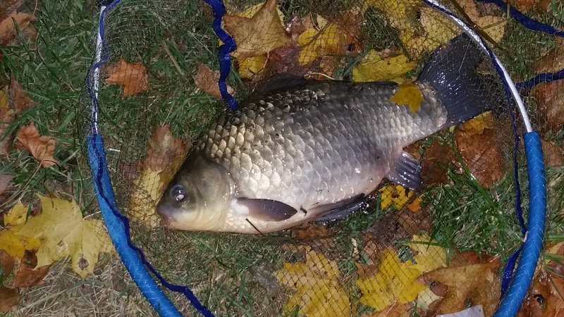 20151024_011357.jpg