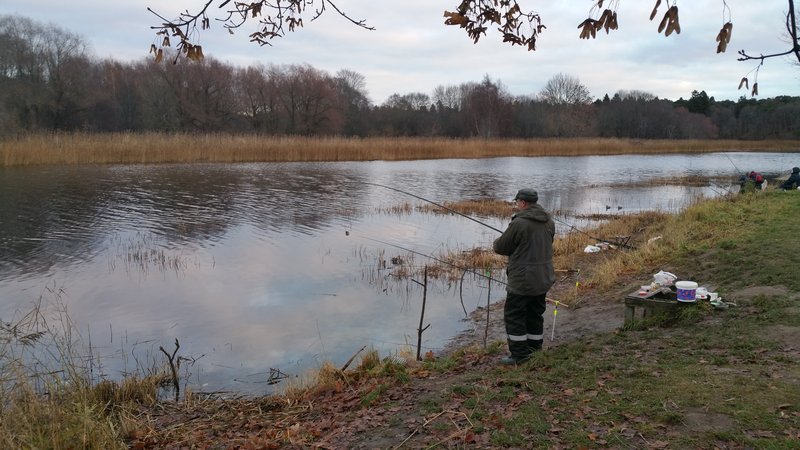 20151110_152929.jpg