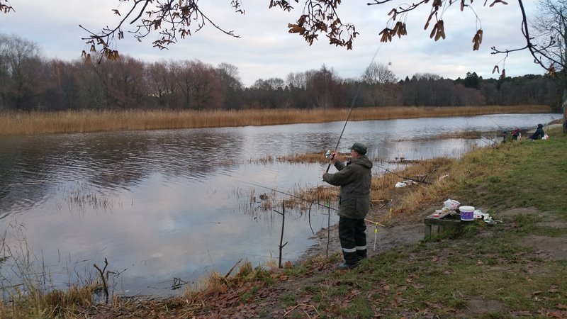 20151110_152932.jpg
