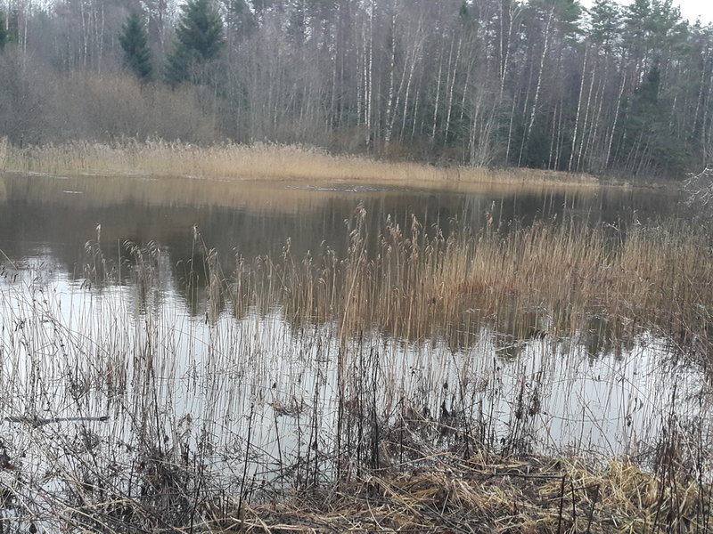 20151219_093239.jpg