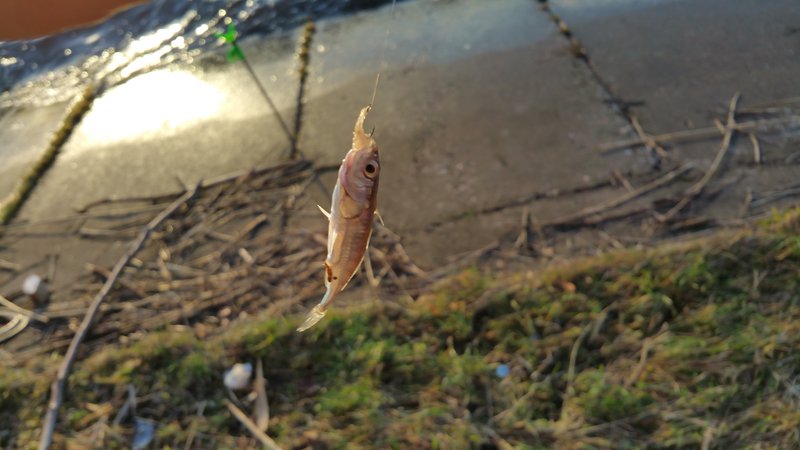 20151219_135913.jpg
