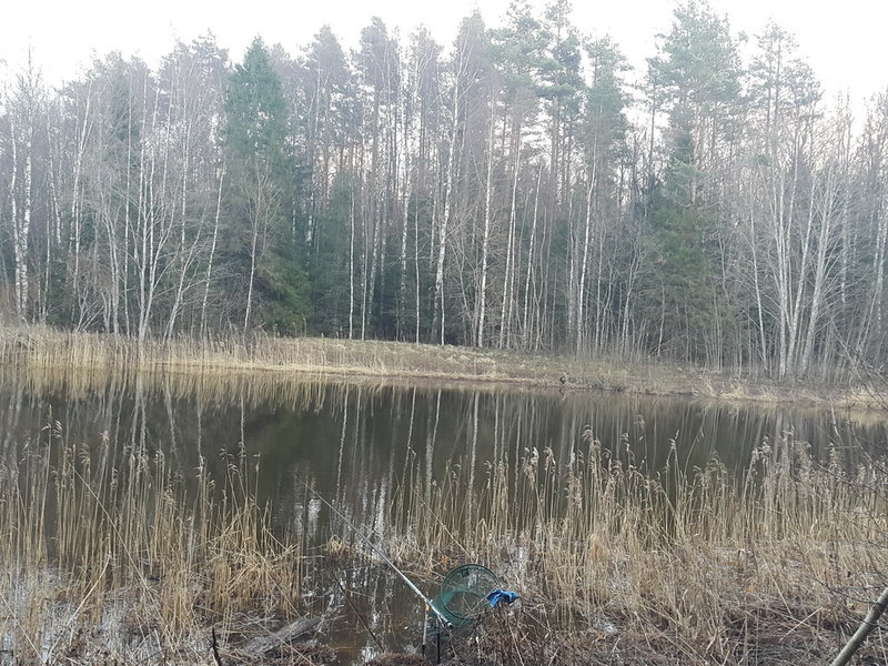 20151226_135454.jpg