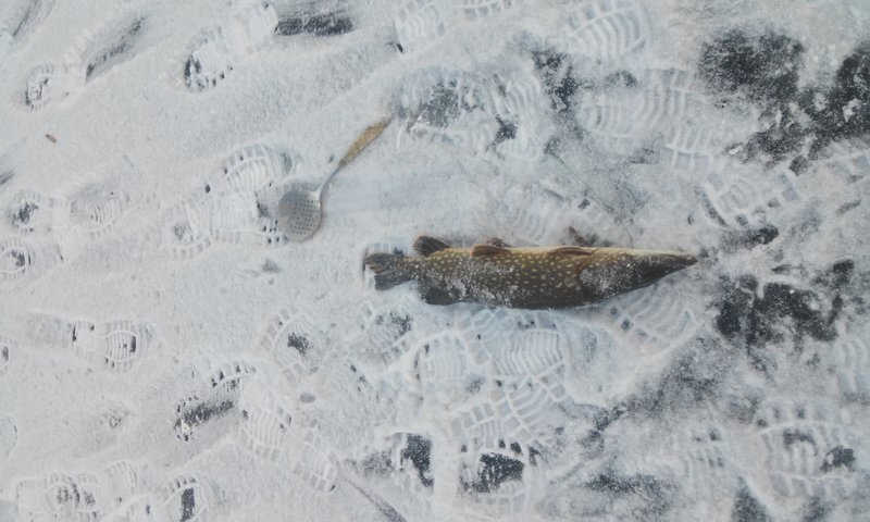 20160102_113753.jpg
