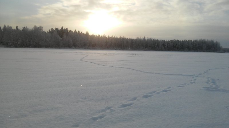 20160105_120015.jpg