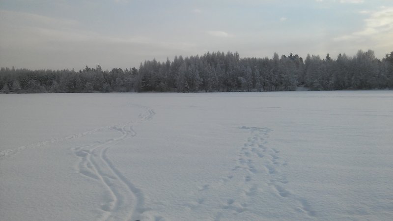 20160105_120021.jpg