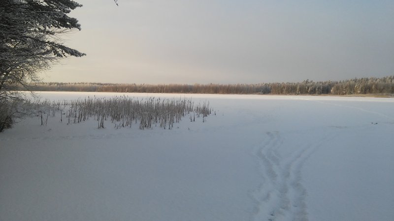 20160105_135430.jpg