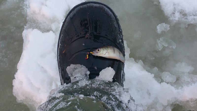 20160116_150347.jpg