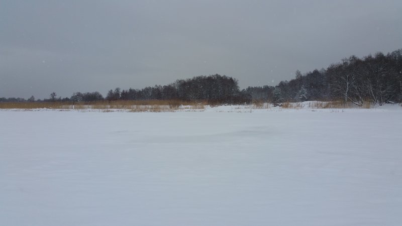 20160119_114542.jpg
