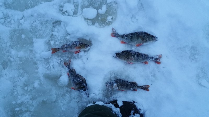 20160119_161115.jpg