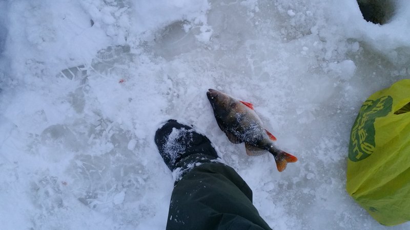 20160119_161123.jpg