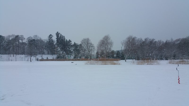 20160121_141846.jpg