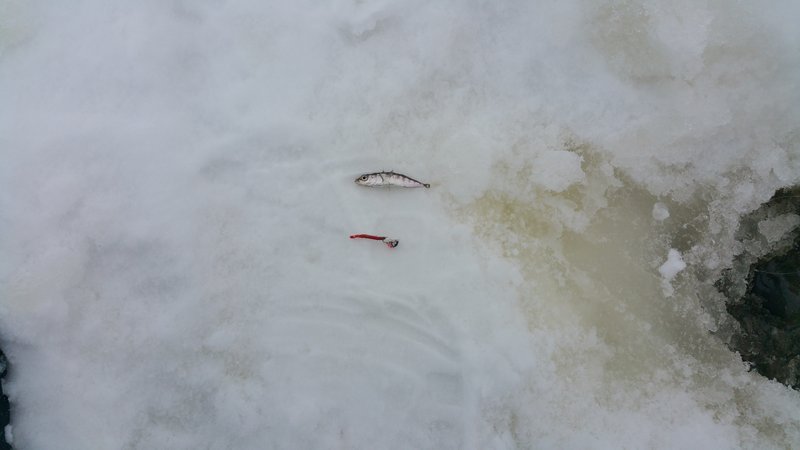 20160121_150926_001.jpg