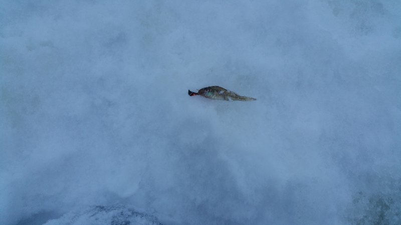 20160121_154208.jpg