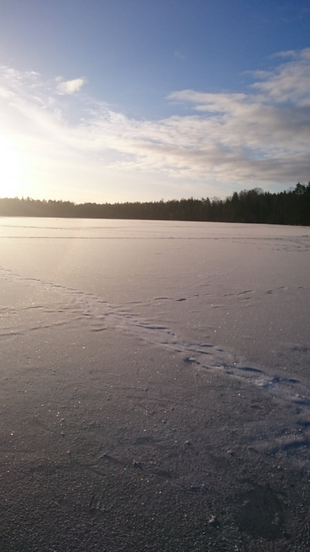 DSC_0118.JPG