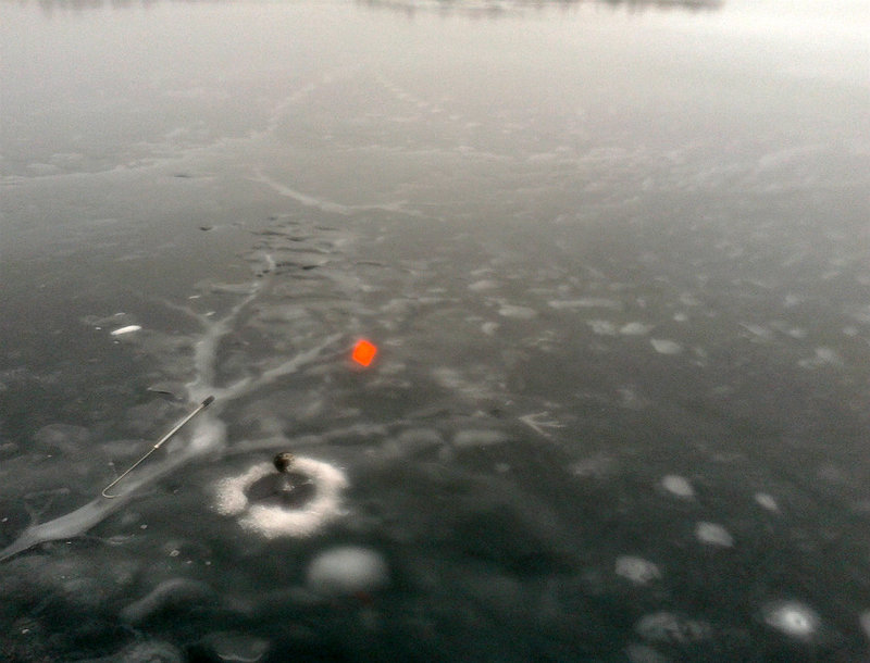 20160207_112338.jpg