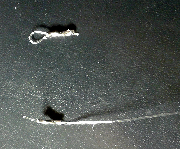 20160208_193249.jpg