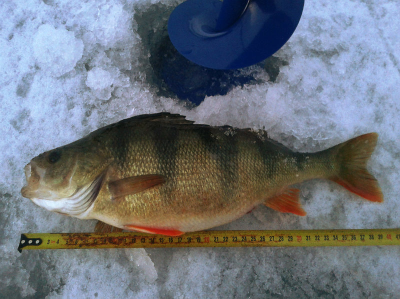 20160224_175629.jpg