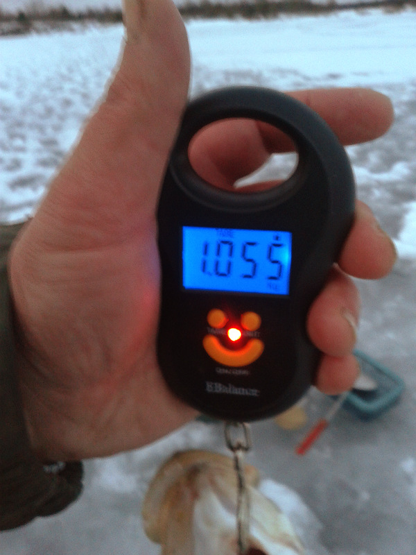 20160224_175355.jpg