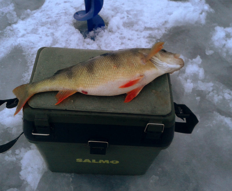 20160224_174909.jpg