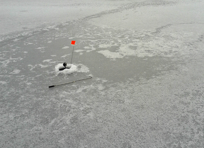 20160310_175307.jpg