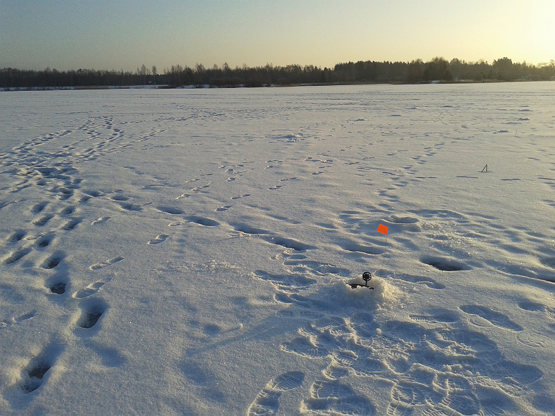 20160312_073939.jpg