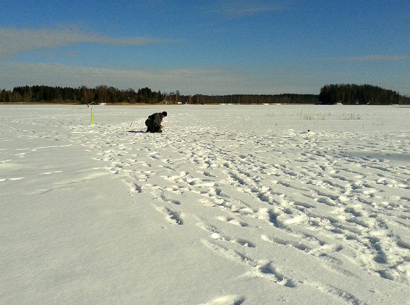 20160312_140217.jpg