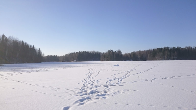 DSC_01461.jpg